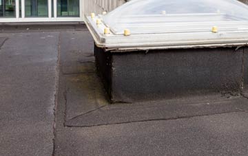 disadvantages of Ledicot flat roofs