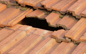 roof repair Ledicot, Herefordshire