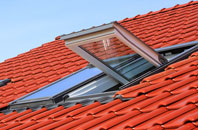 Ledicot roof window